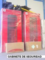 Gabinete de Seguridad